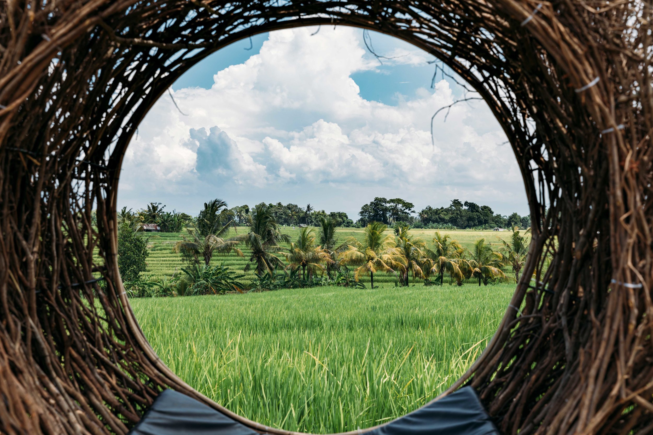 Lands for Sale in Sumba in front of Rice Field 2