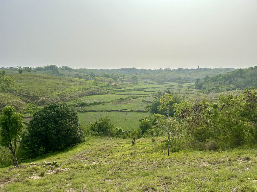 Lands for Sale in Sumba: 1 Hectare in the Gentle Hills of Rua, Sumba